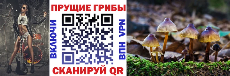 Псилоцибиновые грибы Magic Shrooms  Ленинск-Кузнецкий 