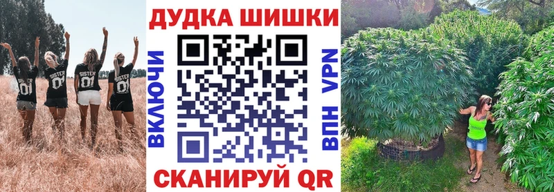 магазин продажи наркотиков  Ленинск-Кузнецкий  Конопля VHQ 